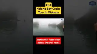 Halong Bay Cruise Tour Ep3 Vietnam #shorts #youtubeshorts #shortvideo #shortsfeed #vlog