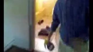 Billy Mays Impersonation (Practice For A Movie We Are Making Soon)