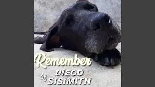 Remember