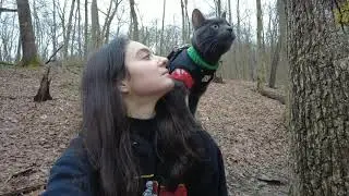 Adventure Cat Wiz: First Hike of 2021 @ Duff Park Loop