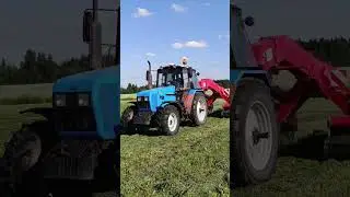 МТЗ 1221.2 и Sip AIR 900T - дают жару на заготовке кормов #агроном #farming #сенаж