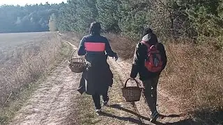 На ГРИБАХ