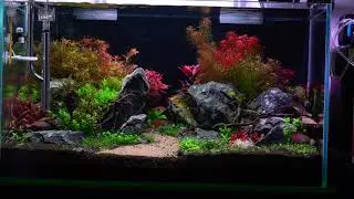 30 days since planted