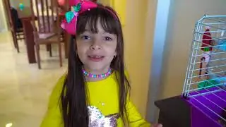 Laurinha and Helena lost our Chinchilla 🐵 Laurinha and Helena lost our Chinchilla