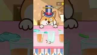 LITTLE CAT HIDES FROM DOG?! LEVEL35 Kitten Hide N’ Seek: Neko Doge 