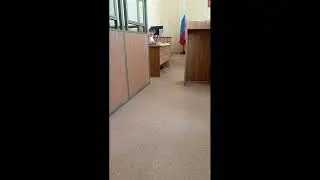 Допрос (друга) свидетеля Сарисяна А.Н. по уголовному делу прокурора А. Алексеева в суде