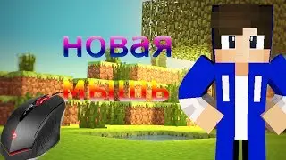 Новая мышь, новый VimeWorld [VimeWorld Mini-Game Minecraft]