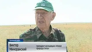 Вести Дон. Сюжет об Ассоциации