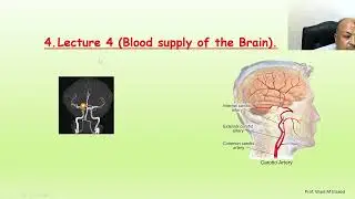CNS Final Revision د وائل السعيد