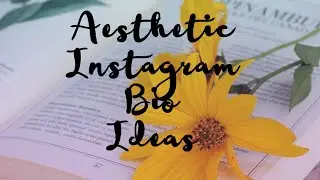 Instagram bio ideas/ aesthetic insta bio🦋🦋