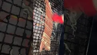 Salmon Mayo【Solo Camping】