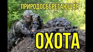 Зоозащитники в шоке! Охота и охрана природы!?