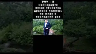 POV : Прошёл майнкрафт и гуляешь по миру в последний раз   #майнкрафт #понасенков #прогулка