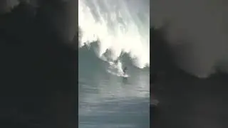 brutal 