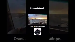 Красота Сибири. #россия #сибирь #shorts #pedro