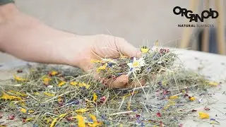 Organoid Natural Surfaces | PantoonBenes