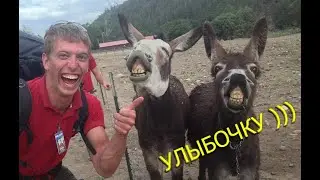 Семь минут смеха: Смешные моменты и ситуации с людьми и животными #2