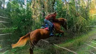 JUMPING into the FOREST on horseback! Over forest obstacles 🍃