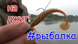 рыбалка на спиннинг! джиг с берега. Половим судака пока сомики спят.