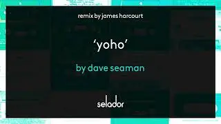 Dave Seaman - YoHo