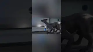 the dolphin came out of the dragon's mouth