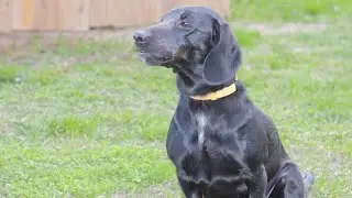ТАНЦУЮТ ВСЕ!