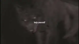 wcmv || help yourself
