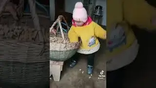 #tranding