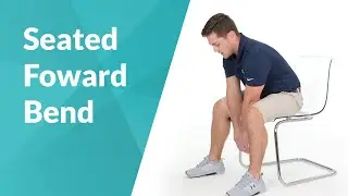 Seated Forward Bend Chair Stretch