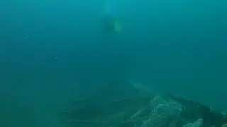Naufragios de Valparaíso, el Ilo.