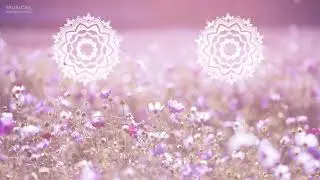 Positive Ambient Music, Relaxing Music, Meditation Music, Manifesting Miracles 432Hz