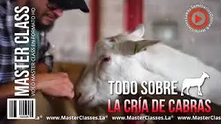 Todo Sobre la Cría de Cabras