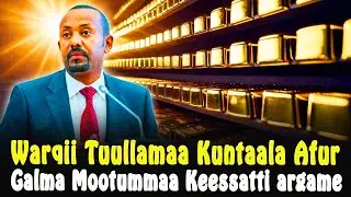 🔴Warqii Kuntaala4 Galma Mootummaa Kiiloo 4tti argame😳Wallagga Lixaatti Oduu Qaanessa😥CHRISTIAN MEDIA