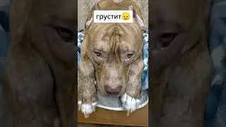 20 ноября 2023 г.