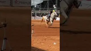 ExpoAgro Bragança 2023 #cavalo #trend #top #animais #toptrending #trendingshorts