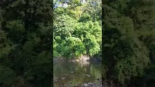 HANGING BRIDGE | MORONG BATAAN
