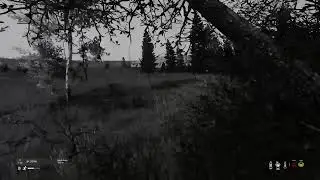 DayZ PS4 in 2023