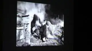 Fundido a negro carbón