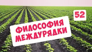 PHILOSOPHY OF INTERROW CULTIVATION