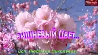 вишневый цвет