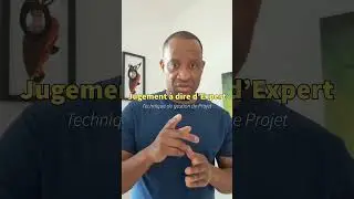 Le Jugement à dire d'expert dans la gestion de proget (pmp)
