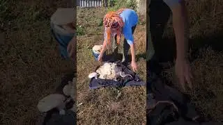 Сходила за грибами🤗🤗