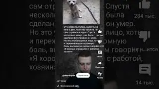 нет слов