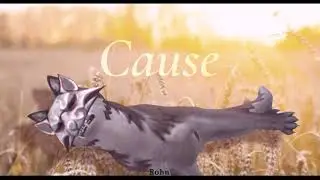 [liar|wcmv]