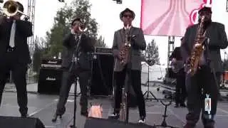 Festival 20 años de SKA - Parte 1