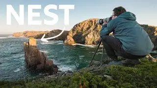 Switching to Wildlife Photography? Canon R7 + RF100-500mm