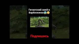 Гигантский змей в Барбоскинах😱😳 