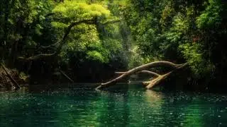 3 hours of calm river ambience