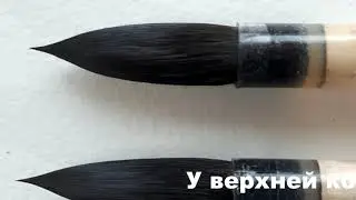 Сергей Горбачев - Тестирование кистей имитация белки