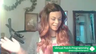 Sewing Fun Virtual Patch Program